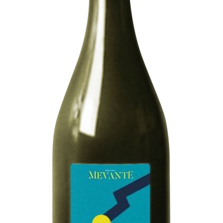 Flaminio Mevante Vin Hvidvin Explorewines