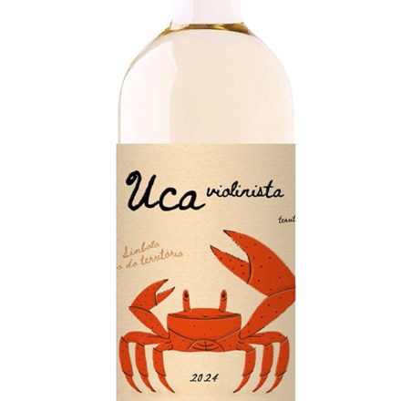 UCA Violinista FT Branco 2024 EN(Frit)Net