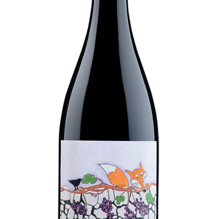 Corvina SV