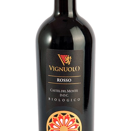 Vignuolo Bio Italien Vin Roedvin Explorewines