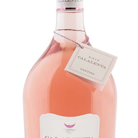 Calalenta Rose Preview 1