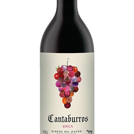 Canterbury Oekologisk Vin Roedvin Explorewines