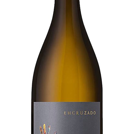 Evidencia Encruzado Reserva Vin Hvidvin Explorewines