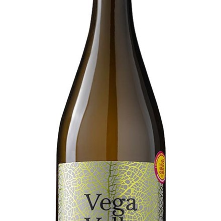 Organic Blanco 1