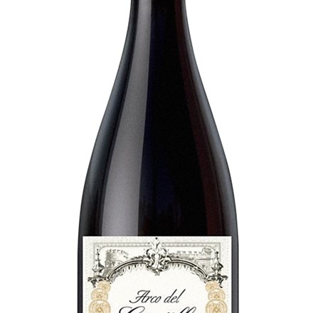 Arco Del Castillo Red Vin Roedvin Explorewines