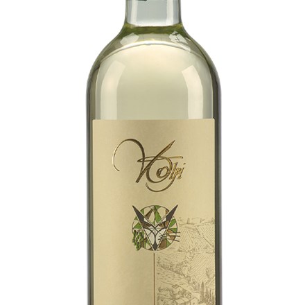 Piemonte DOC Cortese(6X16 Frit)Net
