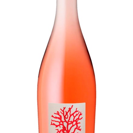 Corail Atlantique Vin Rosevin Rose Explorewines