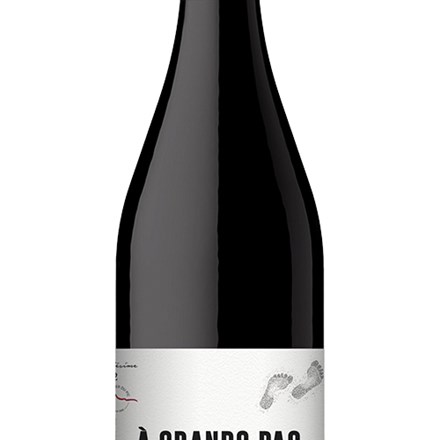 A Grand Pas Carignan Frankrig Vin Roedvin Explorewines