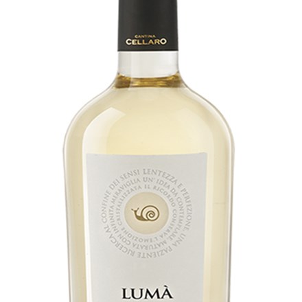 Lumaì Grillo Terre Siciliane Vin Hvidvin Rose Explorewines